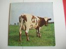THE PINK FLOYD - ATOM HEART MOTHER - UK LP - 1970, HARVEST SHVL 781, PLAYS VG+
