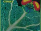 CATAPILLA - Changes (Vertigo swirl 6360 074)