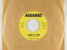 Sweet Soul 45 - Candace Love - I Wanna Get Back - Aquarius - VG+ mp3