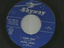 ROCKABILLY bw TEEN- JACKIE GATES & FANATICS - I WANT LOVE  -HEAR - 1961 SKYWAY