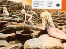 Led Zeppelin - Houses Of The Holy  RARE OOP Columbia House Analog LP (New )