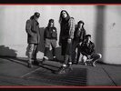 Pearl Jam Live In Chicago - March 28 1992 - 180gm Vinyl LP Record NEW & SEALED