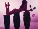 Technicolor Paradise Rhum Rhapsodies Exotic Delights 3 LP CHEESECAKE SURF LOUNGE