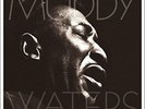 MUDDY WATERS - MANNISH BOY-BEST OF (IMPORT) NEW VINYL