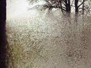 BON IVER - FOR EMMA FOREVER AGO - VINYL LP *BRAND NEW & SEALED*