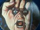 Alice cooper raise your fist and yell picture disc  near mint