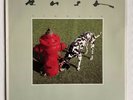 Rush - Signals - vinyl
