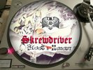 Skrewdrive# ?– Blood & Honour   12