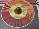 Rare 70's Promo, James Walsh Gypsy Band, Cuz It's You Girl, RCA, 1978. St/Mono.