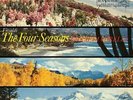 Societa Corelli- Vivaldi: The Four Seasons Analogue Productions 200g QRP