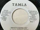 Northern Soul Promo 45/ Marvin Gaye 