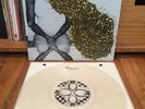 santigold santogold gold glitter vinyl record 2009 lizard king records
