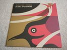 ALASDAIR ROBERTS & JAMES GREEN - Plaint of Lapwing Ltd Edition 205/500