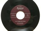*The Silhouettes What Would You Do Sold My Heart Junior 396 VG+ Degritter