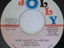 Islands Modern Soul KAREN SMITH Wide Awake In A Dream / Instrumental