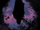 Slow Crush - Aurora