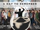 DAY TO REMEMBER-WHAT SEPARATES ME FROM YOU (US IMPORT) VINYL LP NEW