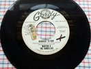 MARTHA & THE VANDELLAS Nowhere To Run / Motoring GORDY G-7039 PROMO