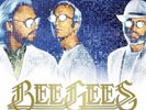 The Bee Gees - Timeless Best of Double LP Vinyl