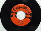 THE SONICS Shot Down ETIQUETTE 18 GARAGE