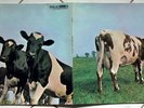 Vinyl LP PINK FLOYD,“Atom Heart Mother“, HörZu Pressung SHZE297, gebraucht