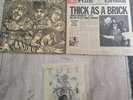 Jethro tull vinyl Steel Monkey pic vinyl stand up thick as a brick