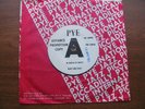 Ray McVay - Kinka Kinky. Promo Demo 7