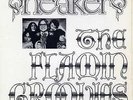 Flamin Groovies 