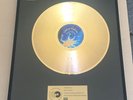 Joshua Kadison Gold Award - goldene Schallplatte - Painted Desert Serenade -