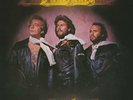 Bee Gees - Children of the World (Vinyl) LP NEU OVP