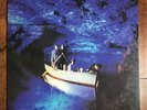 ECHO & THE BUNNYMEN .. OCEAN RAIN LP .. Sire .. VG .. orig. pressing