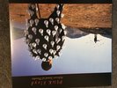 Pink Floyd - Delicate Sound Of Thunder [VINYL]