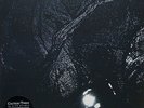 Cocteau Twins ?- The Pink Opaque LP 180 Gram Vinyl Album - Wax And Wane Record