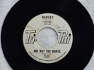northern soul HARVEY Any Way You Wanta TRI PHI 1017 DJ M-