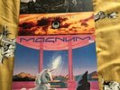ORIGINAL VINYL 12