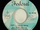 Ray Nash & The Federal Countrymen 