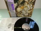 KATE BUSH-NEVER FOR EVER...RARE  SUPERB  1ST JAPAN PRESS N/MINT VINYL LP 1980