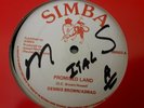 Dennis Brown & Aswad , Promised Land , Cut No 144,000 , More Dub ,12