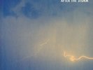 TENDERLONIOUS - After The Storm - Vinyl (12