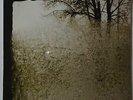 Bon Iver - For Emma, forever ago LP NEU/SEALED vinyl