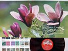 LEONID KOGAN TCHAIKOVSKY VIOLIN CONCERTO ANGEL AA-7333 Japan RED VINYL VINYL LP