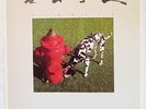 RUSH Signals MINT MINUS 1982 MASTERDISK ORIGINAL MERCURY LP LYRIC INNER SLEEVE