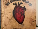 KT Tunstall: The Scarlet Tulip // Support a Non-Profit Social Enterprise