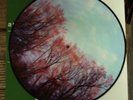 AMERICAN FOOTBALL s/t LP OOP PICTURE DISC Polyvinyl Joan Of Arc Owen #735/750