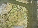 JOHN LENNON PLASTIC ONO BAND on LP 