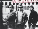 Nerves The-One Way Ticket VINYL NUEVO