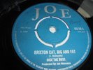 DICE THE BOSS-BRIXTON CAT BIG AND FAT/JOES ALLSTARS-SOLUTION-UK JOE   SEE SCANS