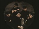 The Sorrows - Take a Heart