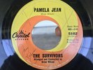 The Survivors-Pamela Jean/Rare Beach Boys/Brian Wilson/ Rare/ Glossy VG- Plays +