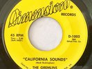 GREMLINS private surf garage psych 45 on DIMENSION (northern Virginia) nm HEAR